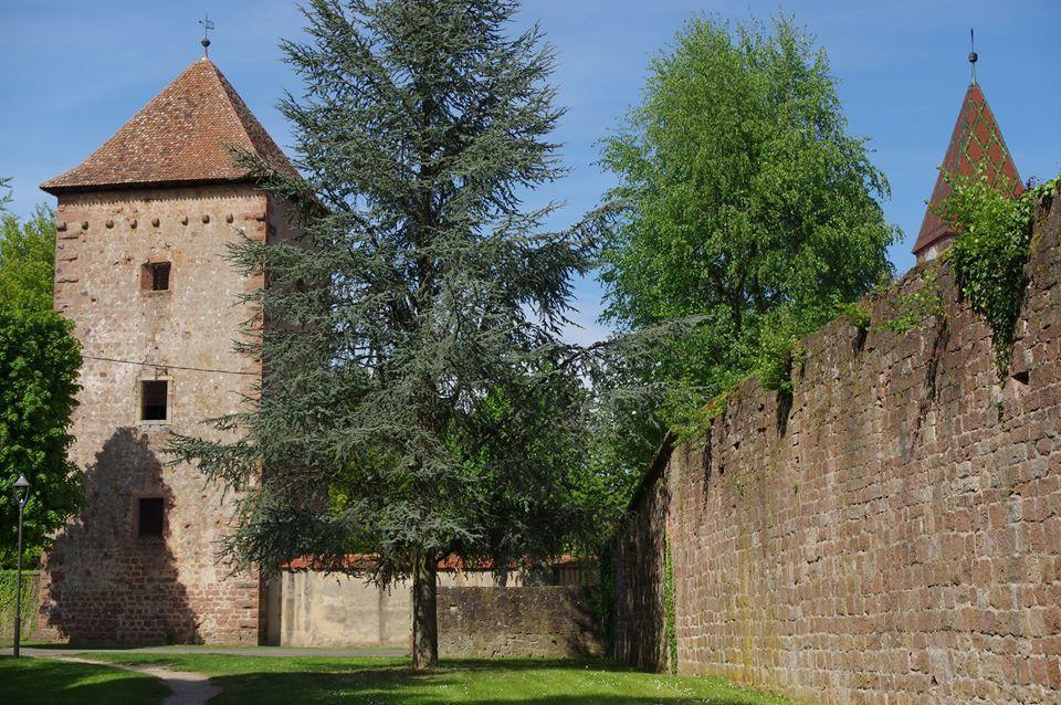 Chambre D'Hotes Du Cote Des Remparts Wissembourg Ngoại thất bức ảnh